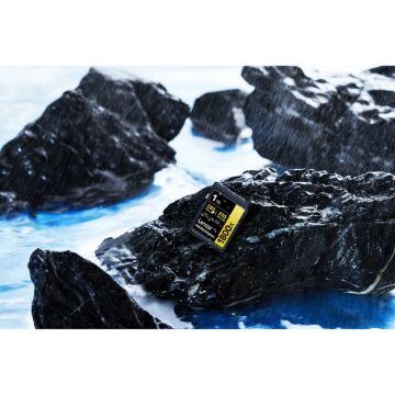 Lexar Professional 1 TB 280 MB/s Gold SD Hafıza Kartı