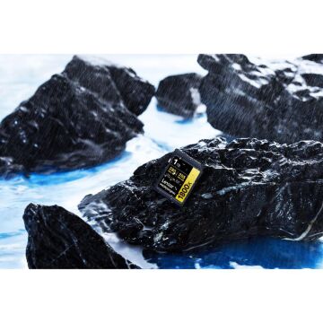 Lexar Professional 1 TB 280 MB/s Gold SD Hafıza Kartı