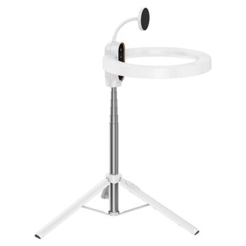 Ulanzi LT030 10 inç MagSafe Uyumlu Ring Light