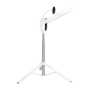 Ulanzi LT030 10 inç MagSafe Uyumlu Ring Light