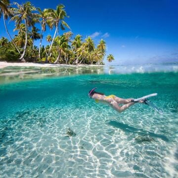 Xiaomi Yarı Su Altı Video ve Resim Çekme Aparatı