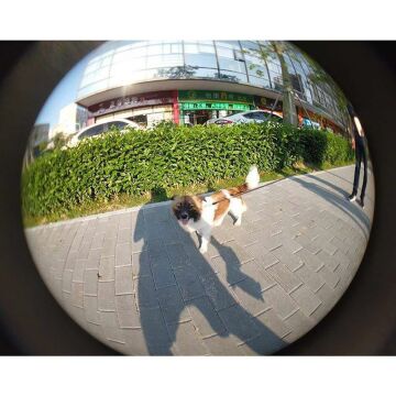 DJI Osmo Pocket Balıkgözü Lens